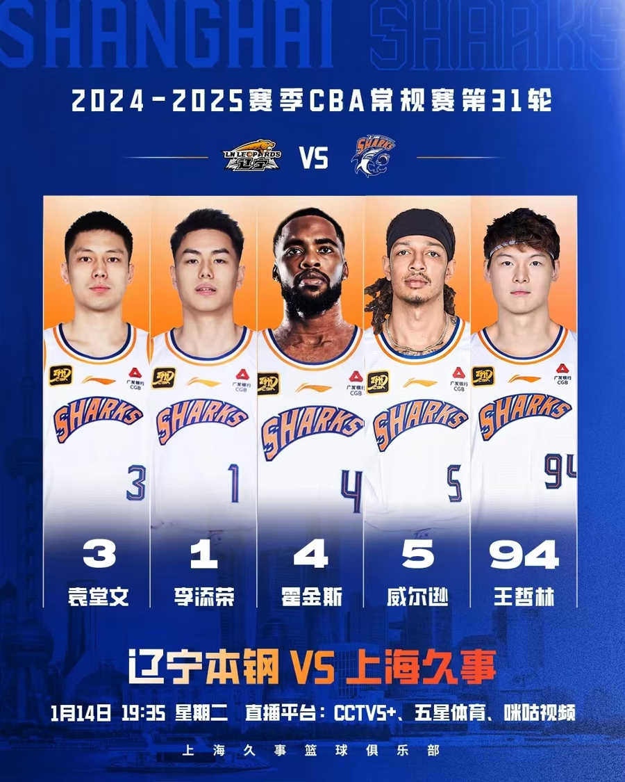 这样的大型
