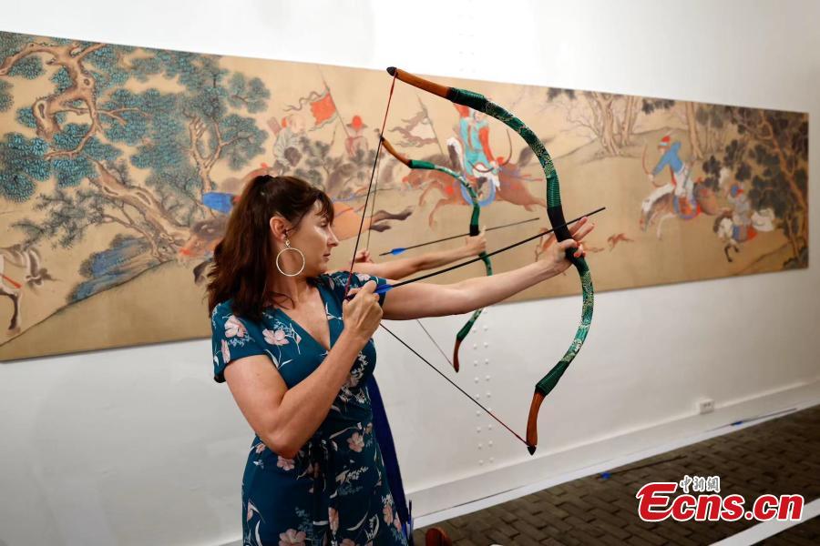 样化的体育